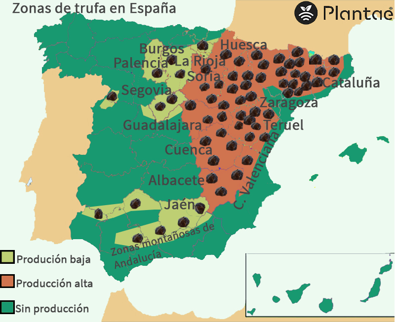 Donde se da la trufa en España
