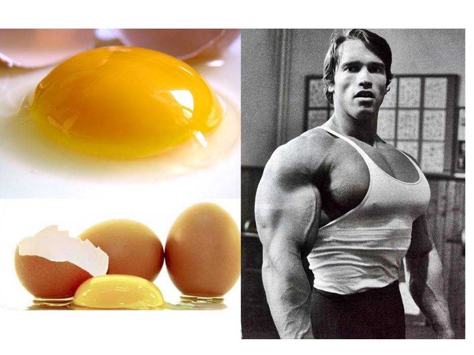 Que hace el huevo a los músculos